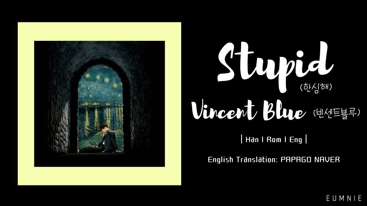 Vincent Blue   Stupid  Lyrics Video    Han l Rom l Eng  eumnie
