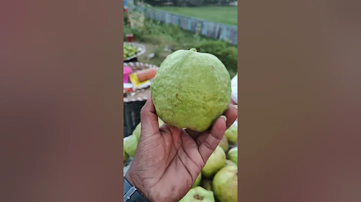 Thailand guava | #ytshorts #thailandguava #foodie ...