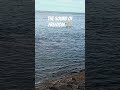 The beautiful sound of full time freedom🙏💜 #travelvlog #vanlife #northsea #blessed #spring