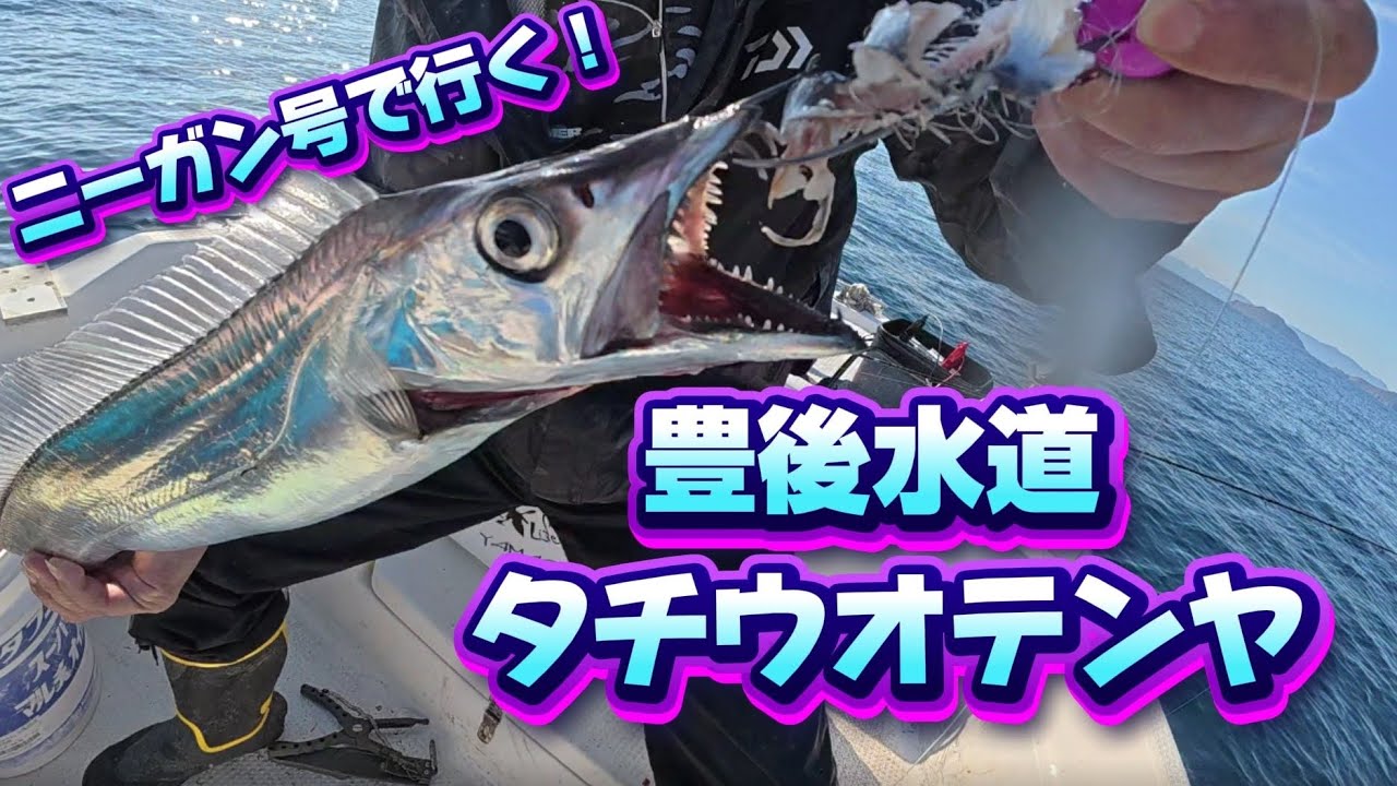 #38 ニーガン号で行く！大分豊後水道　タチウオテンヤ