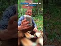 Solo Camping Cooking Scrapple #shorts #viral Mp3 Song