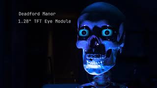 Upgraded Skeleton Eye Module