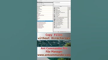 Copy Files Without Directory Structure (Flat Copy) on Windows #copy #flat #filemanager