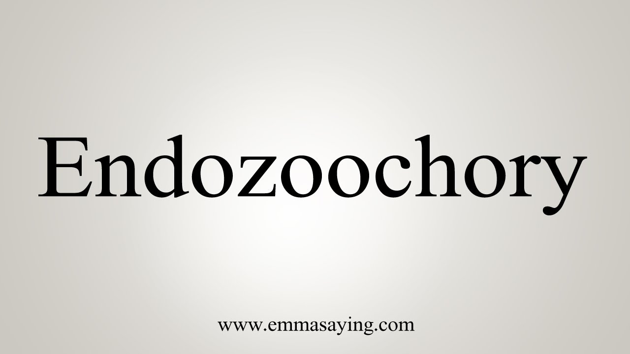 How To Say Endozoochory YouTube