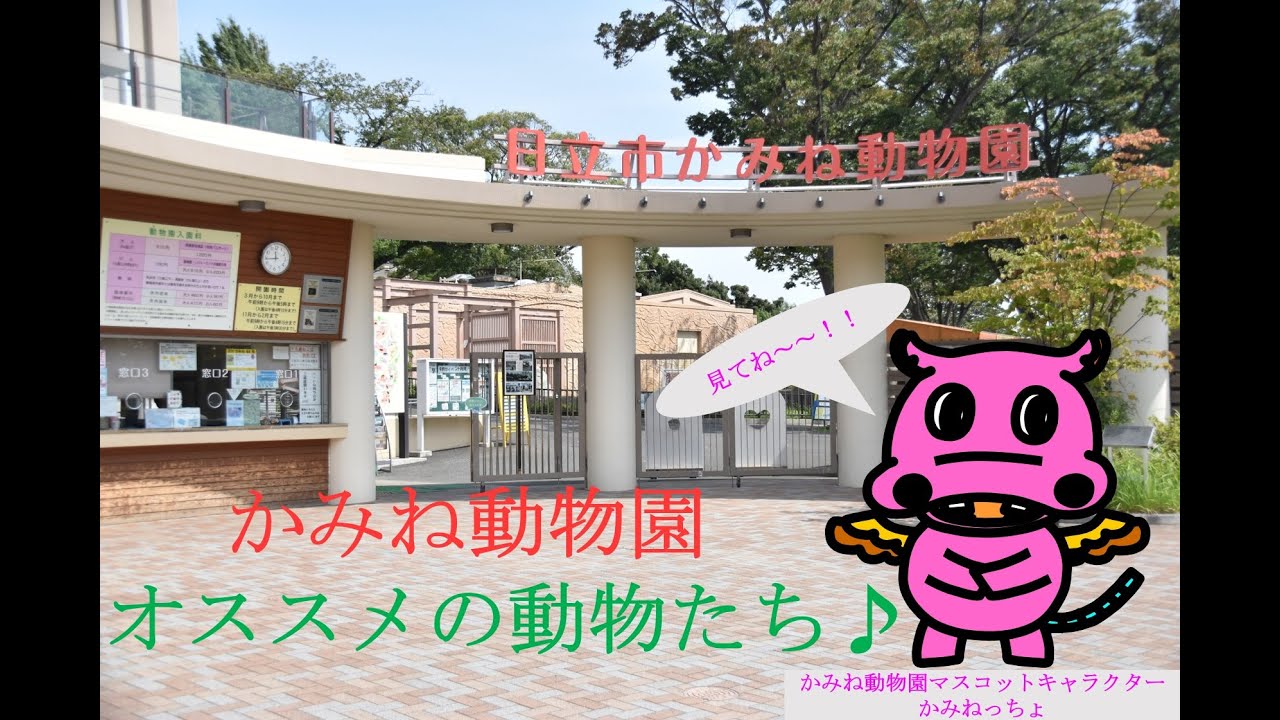 動物園学 動物園学入門 ｜朝倉書店