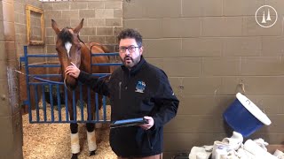 Joe Kristufek meets Clairiere ahead of the Rachel Alexandra!