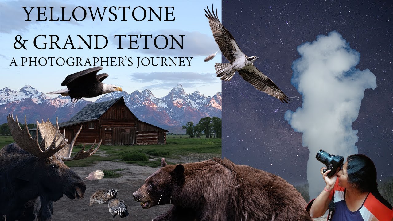 Yellowstone & Grand Teton - A Photographer's Journey
