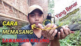 CARA PASANG SAWANGAN KALUNG PADA MERPATI PART2