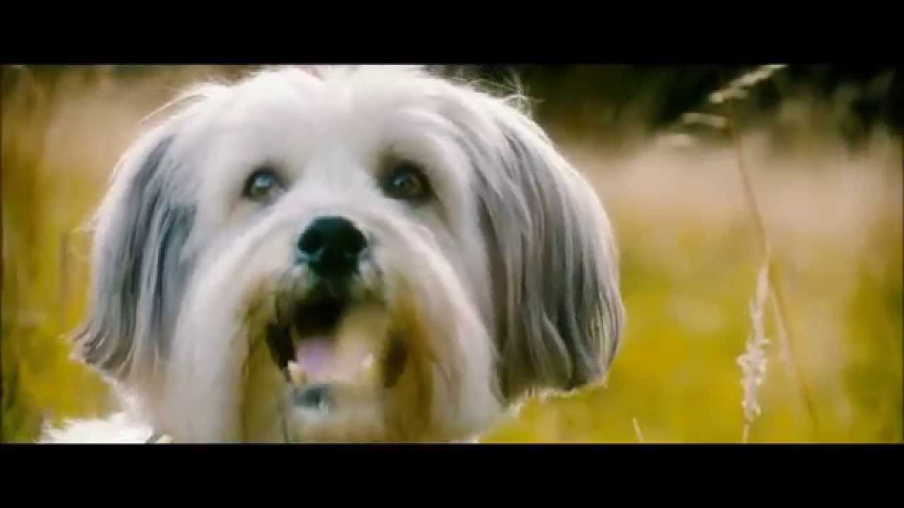 PUDSEY THE DOG: THE MOVIE - Official Film Trailer 2014