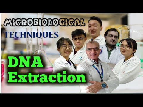Video: Se găsește ADN bacterian în citosol?