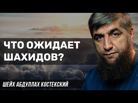 Что ожидает шахидов?