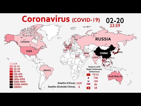world-map-timelapse-of-the-coronavirus-(since-january-2020)