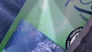 Los Mentados De Tijuana - El Mal Viaje | CORRIDOS 2019 - 2020