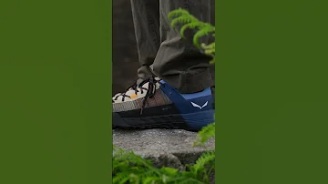 Salewa Best Selling Approach Shoe Wildfire NXT Gore Tex 