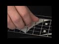 C6 lap steel guitar and dobro for the beginner by scott grove