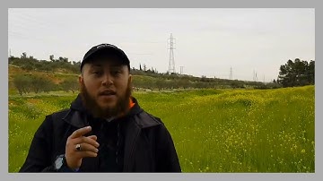 ان الله وملائكته يصلون على النبي - آيات مؤثرة من سورة الأحزاب بصوت الشيخ حمزة الفار