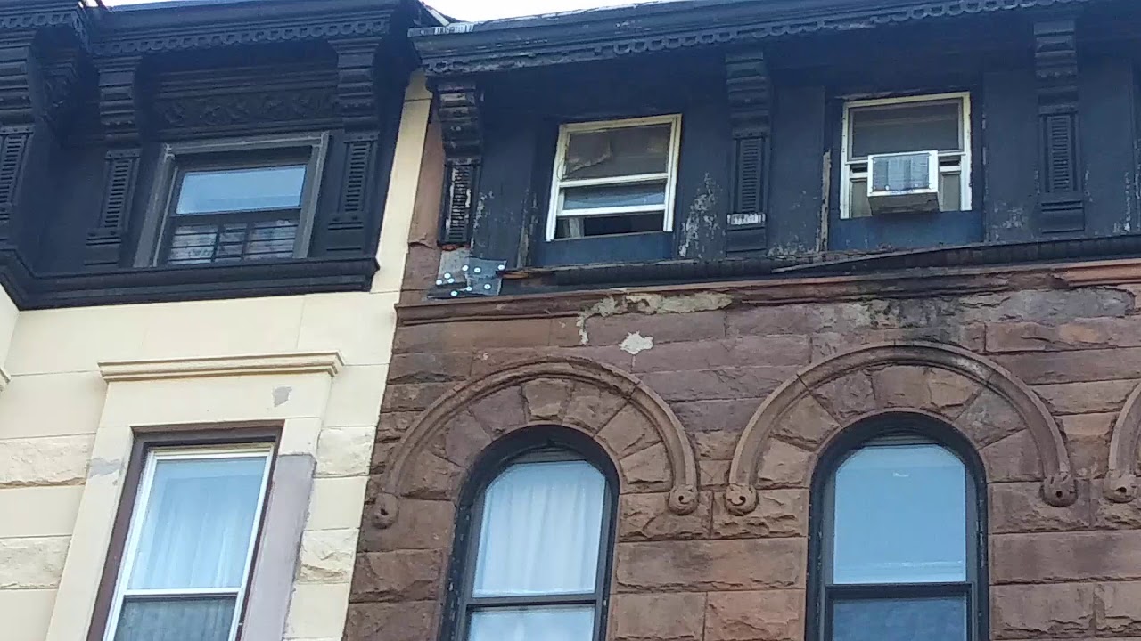 Squirrel removal from ceiling YouTube