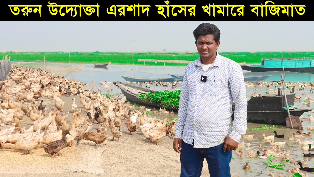 চাকরি নয়, হাঁসের খামারেই সফল এরশাদ! মাসে আয় লক্ষ টাকা – Duck Farming