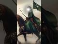 maksad nahin Hai Jung hamara khuda gava#shortvideos #title #shortsvir