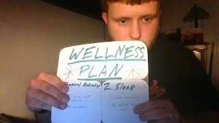 Wellness Plan Copy Explanation
