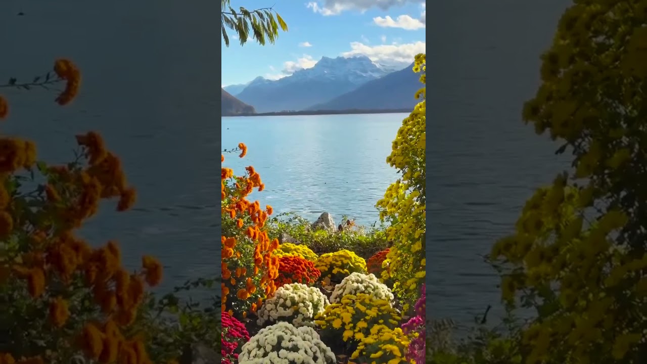 You were brought up here, in this loving circle of paradise...