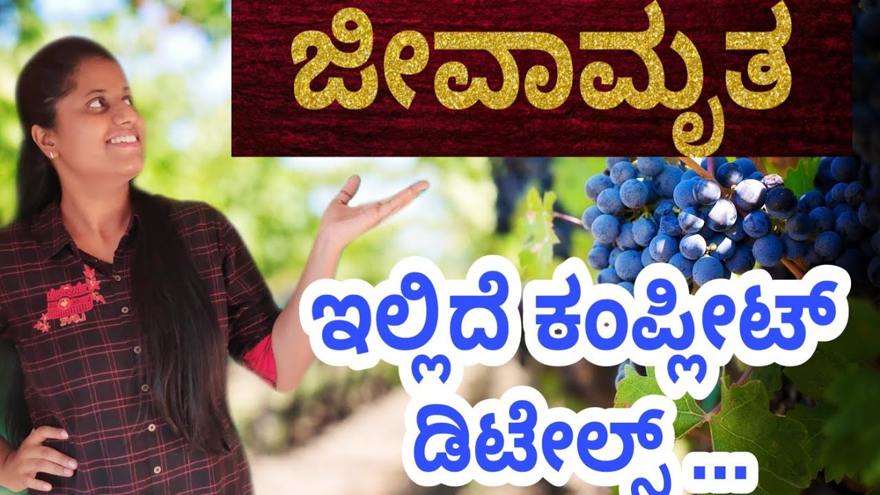 jeevamrutha-in-kannada-importance-preparation-time-of-use-benefits