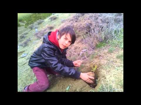 DEDEM SENİ HİÇ UNUTMADIK UNUTAMAYIZ