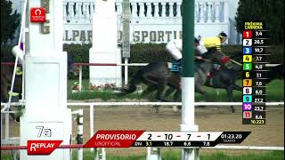 Vidéo de la course PMU GARDELINO H.