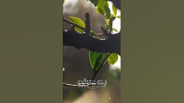 أخفض صوت الدنيا وأرفع صوت القرآن  أفرايتم الماء الذي تشربون. من سورة الواقعة تلاوة عطرة خاشعة طيبة