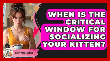 When Is The Critical Window For Socializing Your Kitten? - Happy Cat Handbook