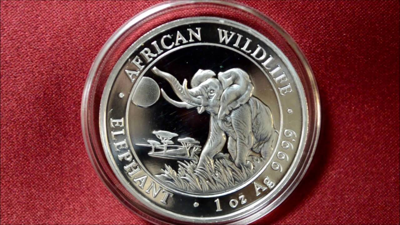 2016 Somali Elephant