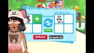 What does people trade for koala in Adopt me (roblox)
