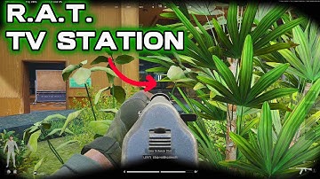 RAT on TV STATION (non-toxic) - Arena Breakout Infinite