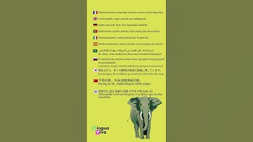 Phrases in a polyglot way eleven languages! it is about Animals !