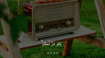 القرآن الكريم سورة البقرة {الآية 216}بصوت 🎙️ الشيخ فارس عباد ❤️‍🩹🌙🕌🥀