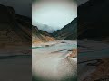 “Go where you feel most alive”