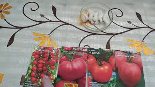 ВАЖНО обработка семян томатов перед посевом