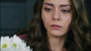 Emanet 131. Bölüm                   @askhikayesi3515