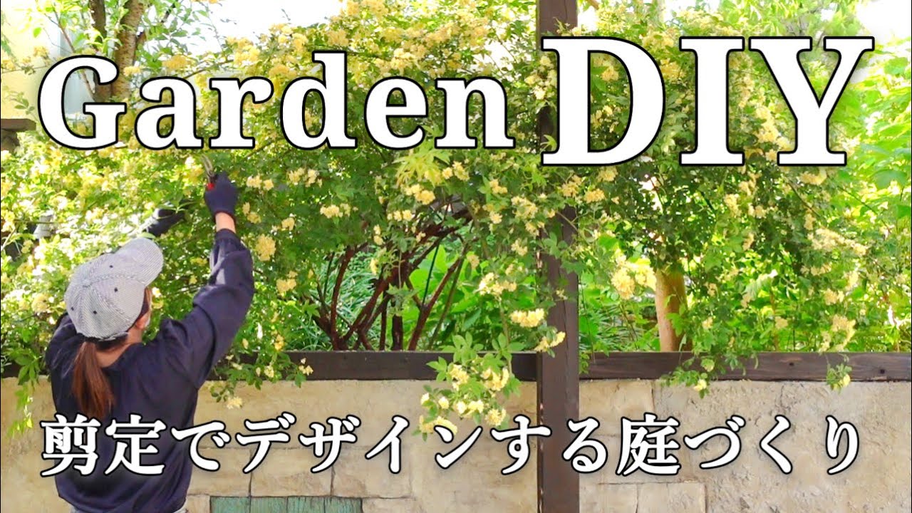 [Самостоятельная обрезка] Давайте спроектируем форму деревьев вашего сада