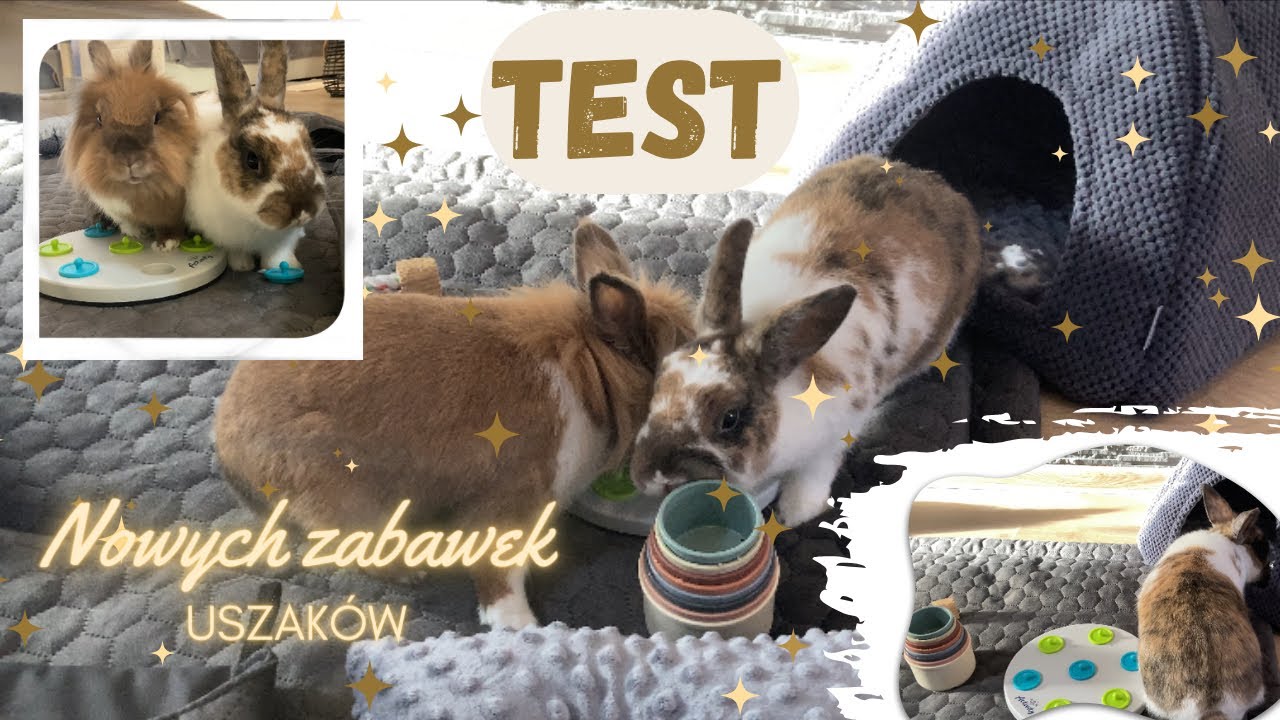 TESTUJEMY NOWE ZABAWKI