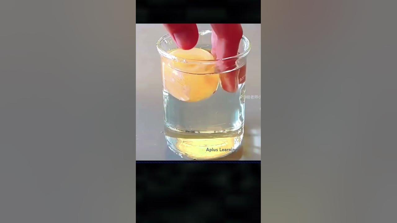 What Happens When You Put An Egg In Vinegar shortsfeed youtubeshorts what-happens-when-you-put-an-egg-in-vinegar-shortsfeed-youtubeshorts