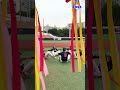 트로피 속에 들어간 화성시 코리요?! ✨