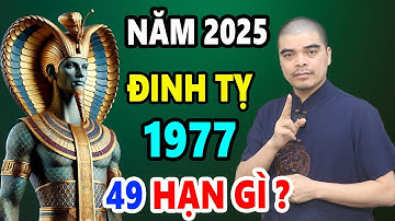 Tử Vi Tuổi Đinh Tỵ 1977 năm 2025, 49 Tuổi, PHÁT TÀI Nhờ TRÚNG LỚN, GIÀU BẤT NGỜ nếu biết điều này