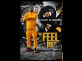 Bailey Dinero &quot;Feel Me&quot;