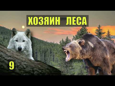 Волк Спас Меня От Медведя Хозяин Леса Судьба В Тайге Страшные Истории Из Жизни Мистика Сериал 9