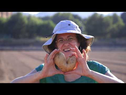 Vídeo: Com Organitzar Fruites Boniques