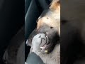 TRUST ЁЯШБ TRUST ЁЯШБ