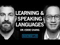 Dr eddie chang the science of learning  speaking languages  huberman lab podcast 95