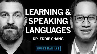 Dr. Eddie Chang: The Science of Learning \& Speaking Languages | Huberman Lab Podcast #95