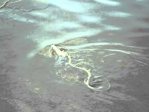 მრავალწყლის წყალსაცავი